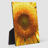 Elegante zonnebloem foto fotoplaat (Zijkant)