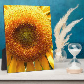 Elegante zonnebloem foto fotoplaat (Zijkant)