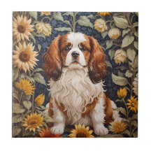 Elegante zonnebloemen Cavalier King Charles Spanie