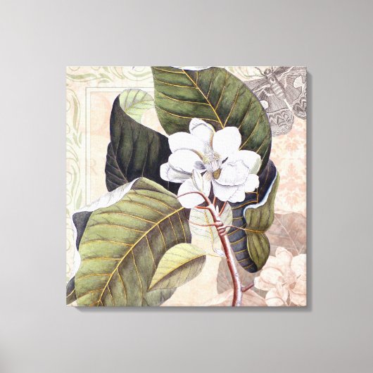 Elegante Zuid-Witte Magnolia Canvas Afdruk (Voorkant)