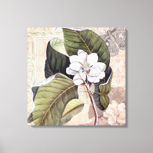 Elegante  Zuid-Witte Magnolia Canvas Afdruk (Voorkant)