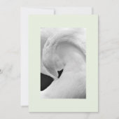 Elegante zwaan uitnodigingen 5x7 voor bruiloft etc (Voorkant)