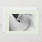 Elegante zwaan uitnodigingen 5x7 voor bruiloft etc (Achterkant)