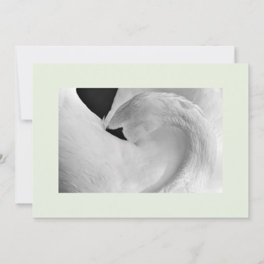 Elegante zwaan uitnodigingen 5x7 voor bruiloft etc (Achterkant)