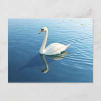 Elegante Zwaan Waterverf op een rustig meer