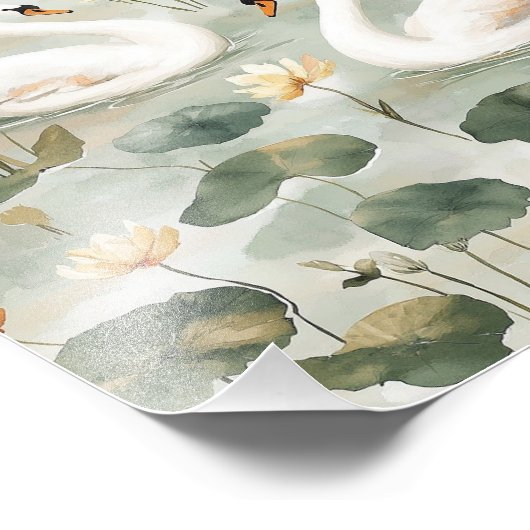 Elegante zwanen foto afdruk (Hoek)