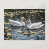 Elegante zwanen op een maanverlichte vijver briefkaart (Voorkant)