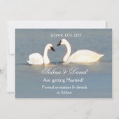 Elegante zwanen Save the Date-uitnodiging Date (Achterkant)