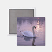 Elegante Zwanenzonsondergang Magneet (Voorkant / Achterkant)
