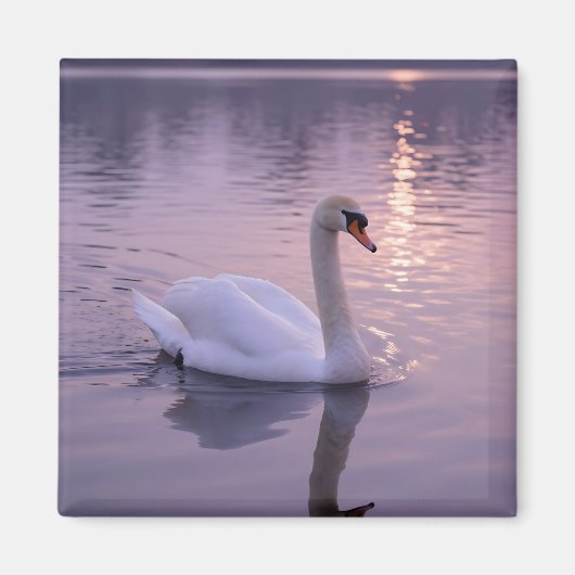 Elegante Zwanenzonsondergang Magneet (Voorkant)