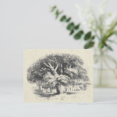 Elegante Zwart Wit Grote Sycamore Boom Briefkaart (Staand voorkant)