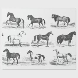 Elegante  Zwart Wit Toile Paardenrassen Cadeaupapier