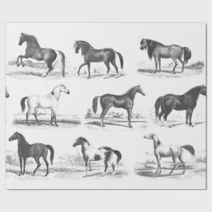 Elegante  Zwart Wit Toile Paardenrassen Cadeaupapier