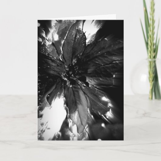 Elegante zwart-witte Kerstkaart Feestdagen Kaart (Voorkant)