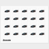 Elegante zwarte auto sticker (Vel)