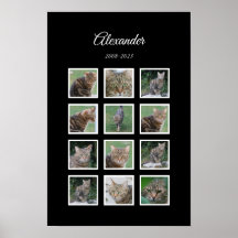 Elegante zwarte huisdierenposter met 12 fotosticke