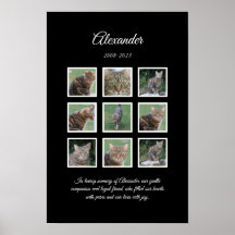 Elegante zwarte huisdierenposter met 9 fotostroken