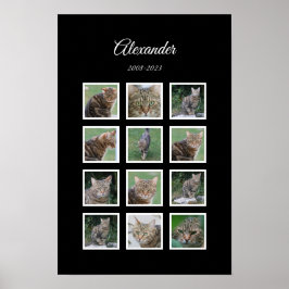 Elegante Zwarte Huisdierposter met 12 Fotosleuven Poster