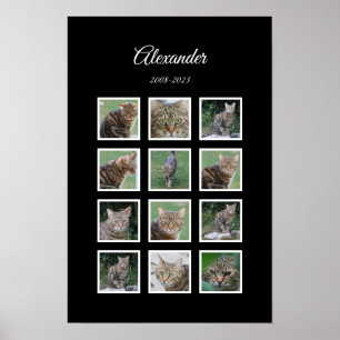 Elegante Zwarte Huisdierposter met 12 Fotosleuven Poster