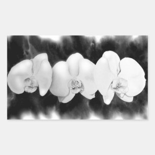 Elegante zwarte witte aquarel orchideeën rechthoekige sticker