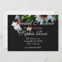 Elegante zwarte witte bloeiende witte bloesem