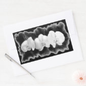 Elegante zwarte witte tropische orchideeën floraal rechthoekige sticker (Envelop)