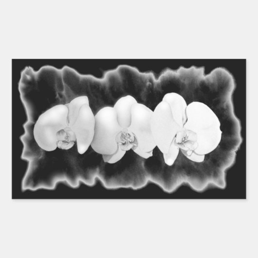 Elegante zwarte witte waterverf orchideeën rechthoekige sticker (Voorkant)