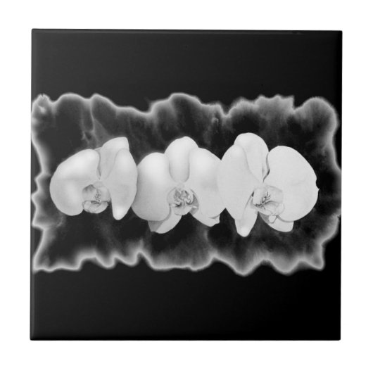 Elegante zwarte witte waterverf orchideeën tegeltje (Voorkant)