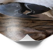 Elegantie in het wit: de majestueuze Aussie Cockat Foto Afdruk (Hoek)