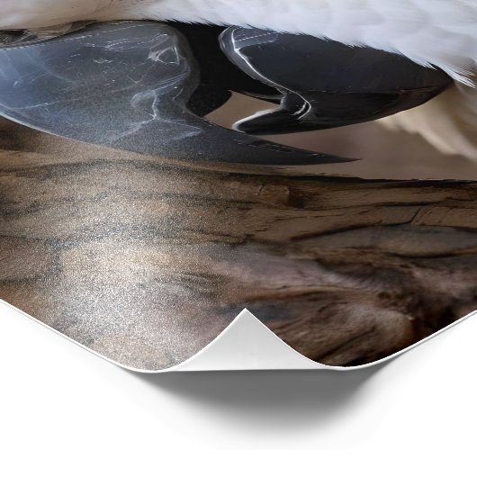 Elegantie in het wit: de majestueuze Aussie Cockat Foto Afdruk (Hoek)