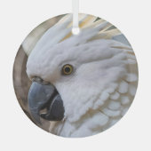 Elegantie in het wit: de majestueuze Aussie Cockat Glas Ornament (Voorkant)