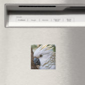 Elegantie in het wit: de majestueuze Aussie Cockat Magneet (Insitu (Vaatwasser))