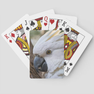 Elegantie in het wit: de majestueuze Aussie Cockat Pokerkaarten