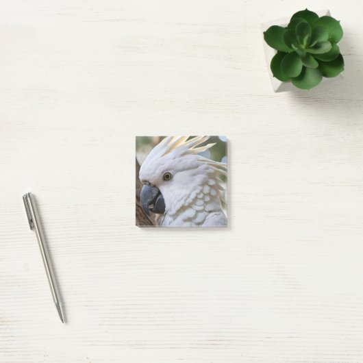 Elegantie in het wit: de majestueuze Australische  Post-it® Notes (Kantoor)
