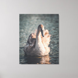 Elegantie op de Wye Canvas Afdruk