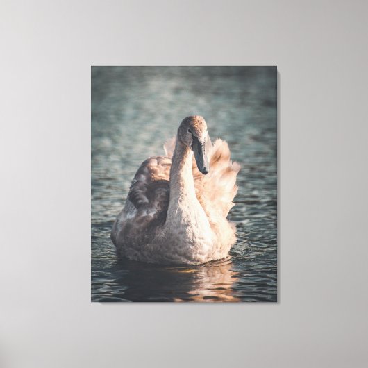 Elegantie op de Wye Canvas Afdruk (Voorkant)