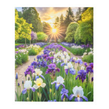 Elegantie van het Iris POSTER