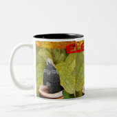 ELEGGUA TWEEKLEURIGE KOFFIEMOK (Links)