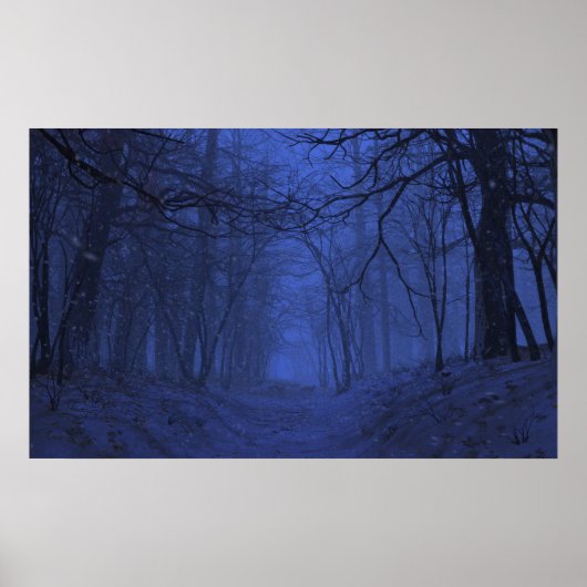 Elegy (winter/nacht) poster (Voorkant)