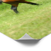 Elektrichorse Poster (Hoek)