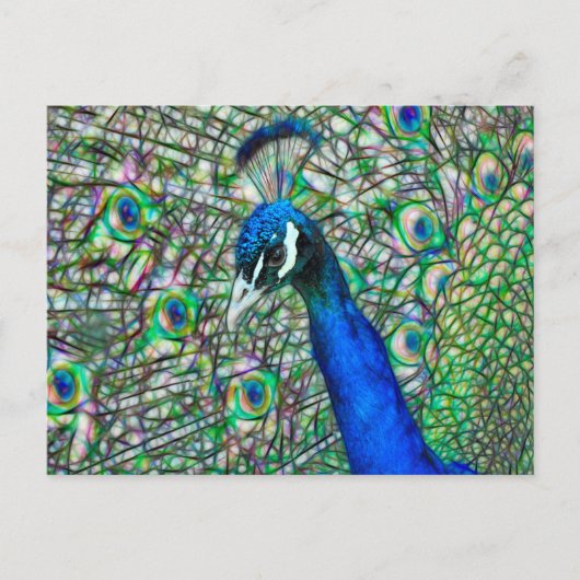 Elektrificeerde Peacock Head Briefkaart (Voorkant)