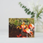 Elektrificeerde vlamingos briefkaart (Staand voorkant)