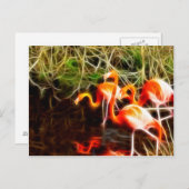 Elektrificeerde vlamingos briefkaart (Voorkant / Achterkant)