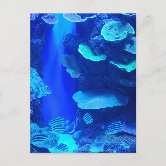 Elektrisch blauw Briefkaart (Voorkant)