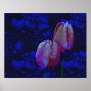 Elektrisch blauw hart en roze tulpen poster