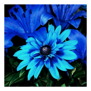 Elektrisch Blauwe Bloemen Perfect Poster