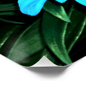 Elektrisch Blauwe Bloemen Perfect Poster (Hoek)