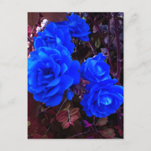 Elektrisch blauwe Rozen Briefkaart
