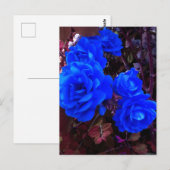 Elektrisch blauwe Rozen Briefkaart (Voorkant / Achterkant)