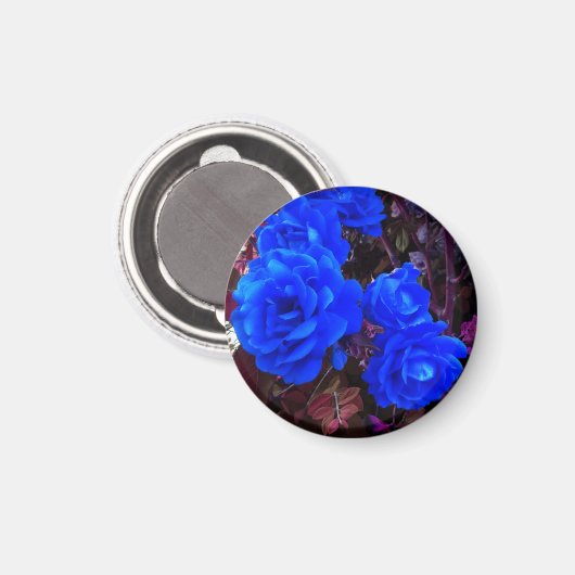 Elektrisch blauwe Rozen Magneet (Voorkant / Achterkant)
